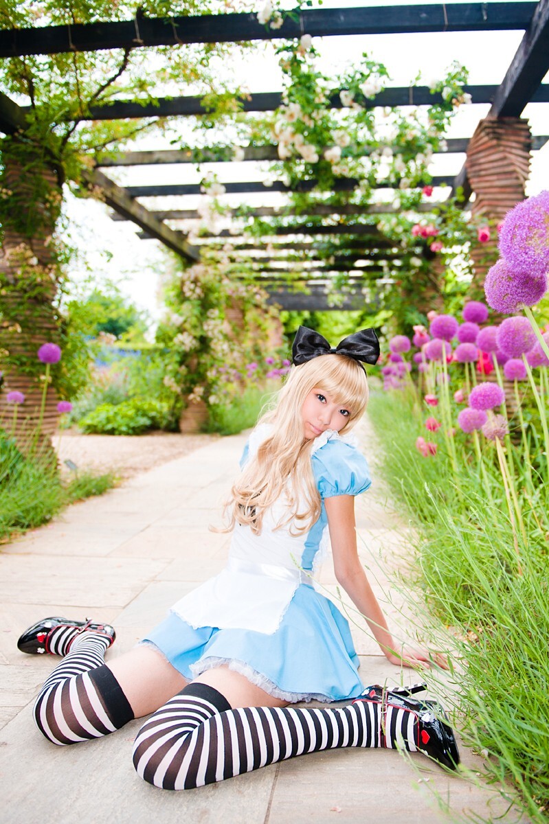 cosplay套图 c78 NECOCO.in.Wonderland